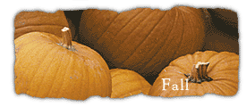 Fall