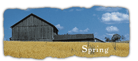 spring